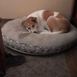 Meet your Posher, Tamara